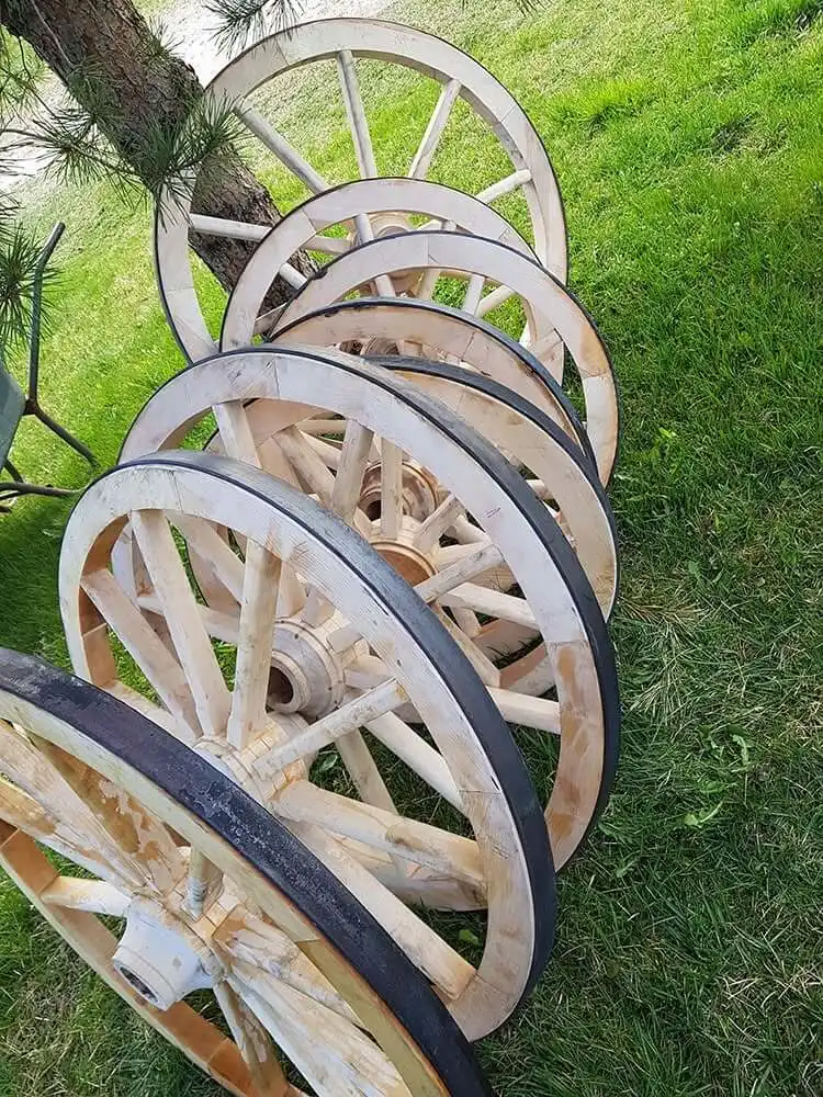 Eine Reihe fertiggestellter, hölzerner Wagenräder mit frisch aufgezogenen, dunklen Metallreifen lehnt an einem Baumstamm auf einer grünen Wiese.