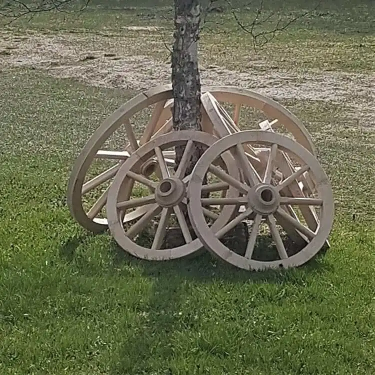 Mehrere rohe, unbeschlagene Wagenräder aus hellem Holz lehnen an einem Baumstamm auf einer grünen Wiese.